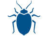 BED-BUG-CONTROL
