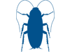 COCKROACH