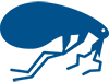 FLEAS-REMOVAL