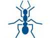 ants
