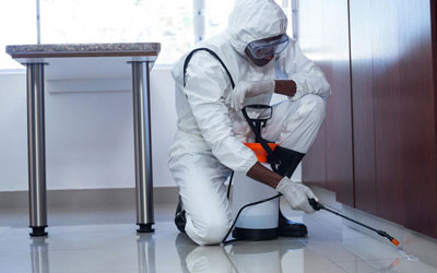 5 Must-Take Steps Before Hiring A Pest Control Service