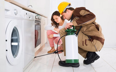 5 Impressive Tips To Make Your Pest Treatment More Successful